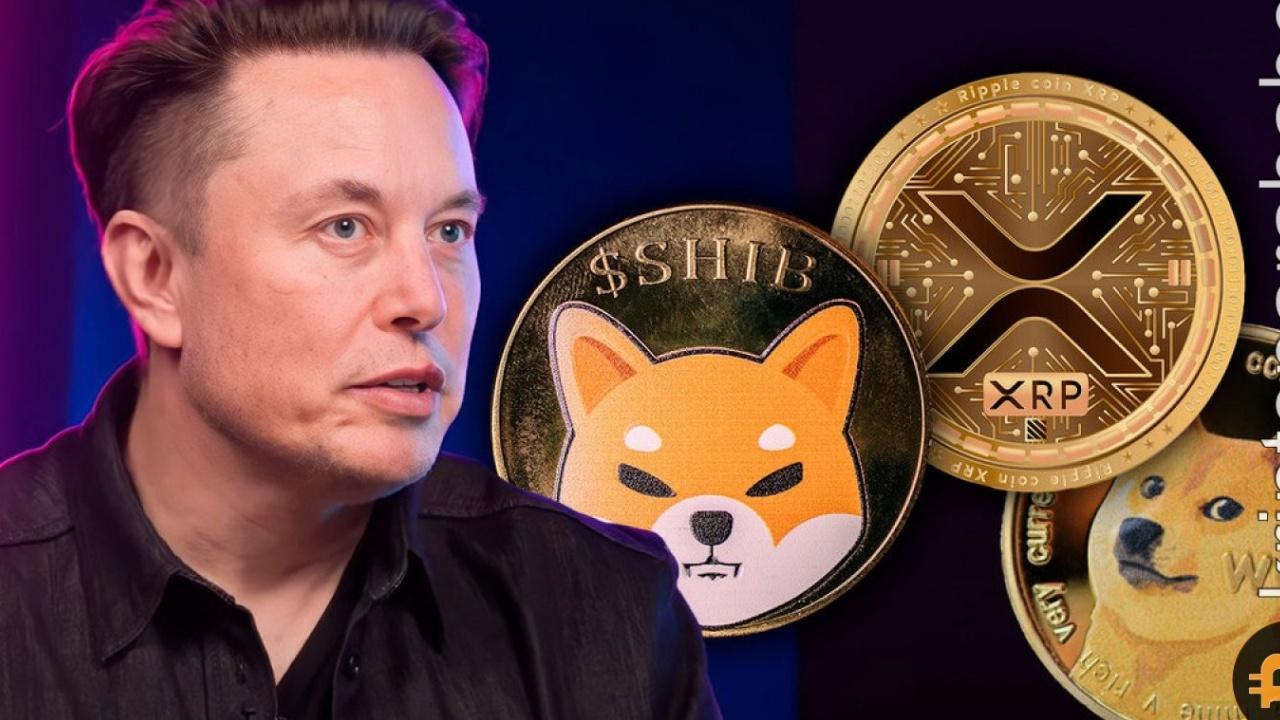 75 Milyon Dolarlık Bağış: DOGE Fiyatını Harekete Geçiren Elon Musk