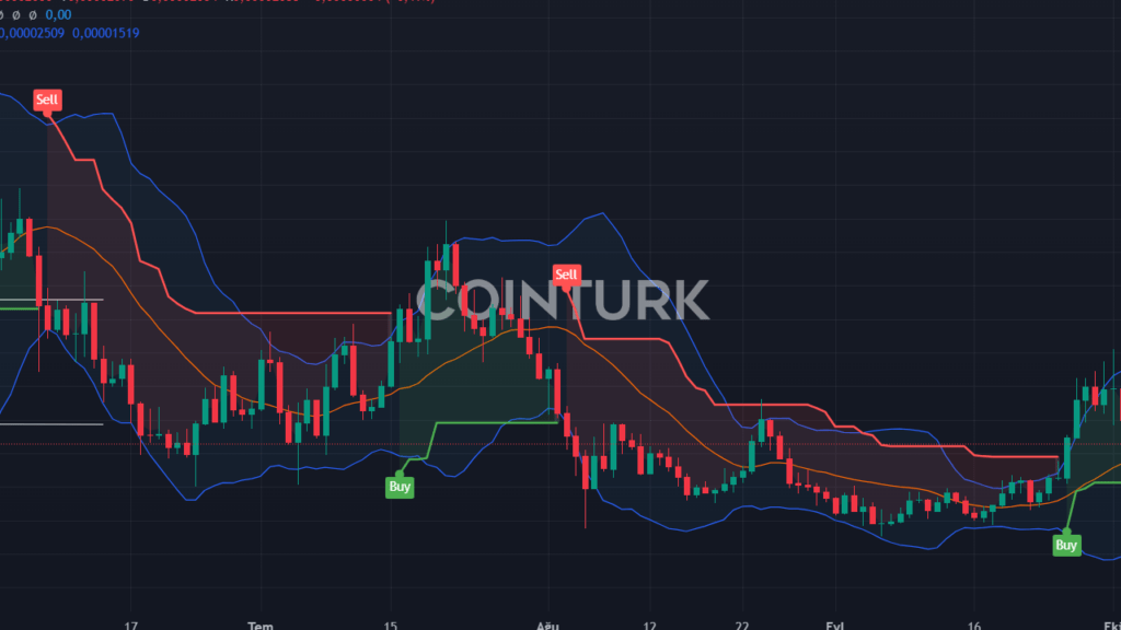 3 Popüler Meme Coin 2024 Ekim Fiyat Tahminleri: PEPE, BONK ve DOGS