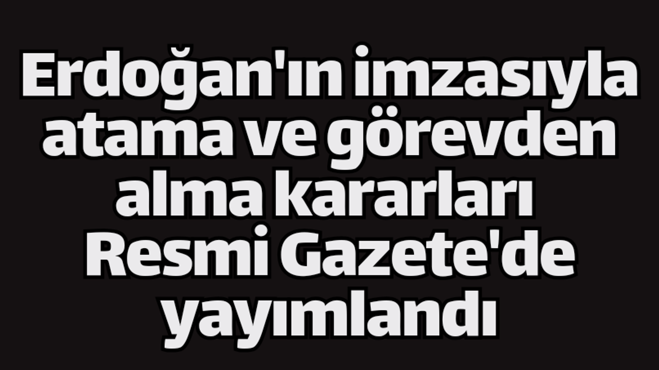 2024'te 5 Milyon TL'nin Üzerinde Ceza: Resmi Gazete'de Yeni Yönetmelikler