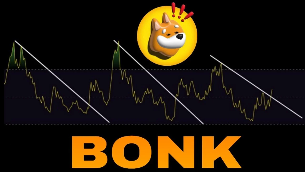 Bonk coin