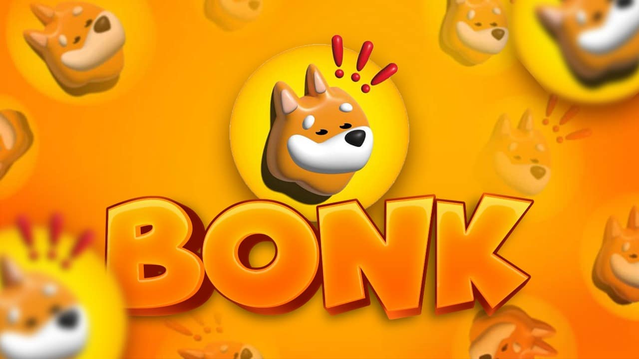 Bonk coin