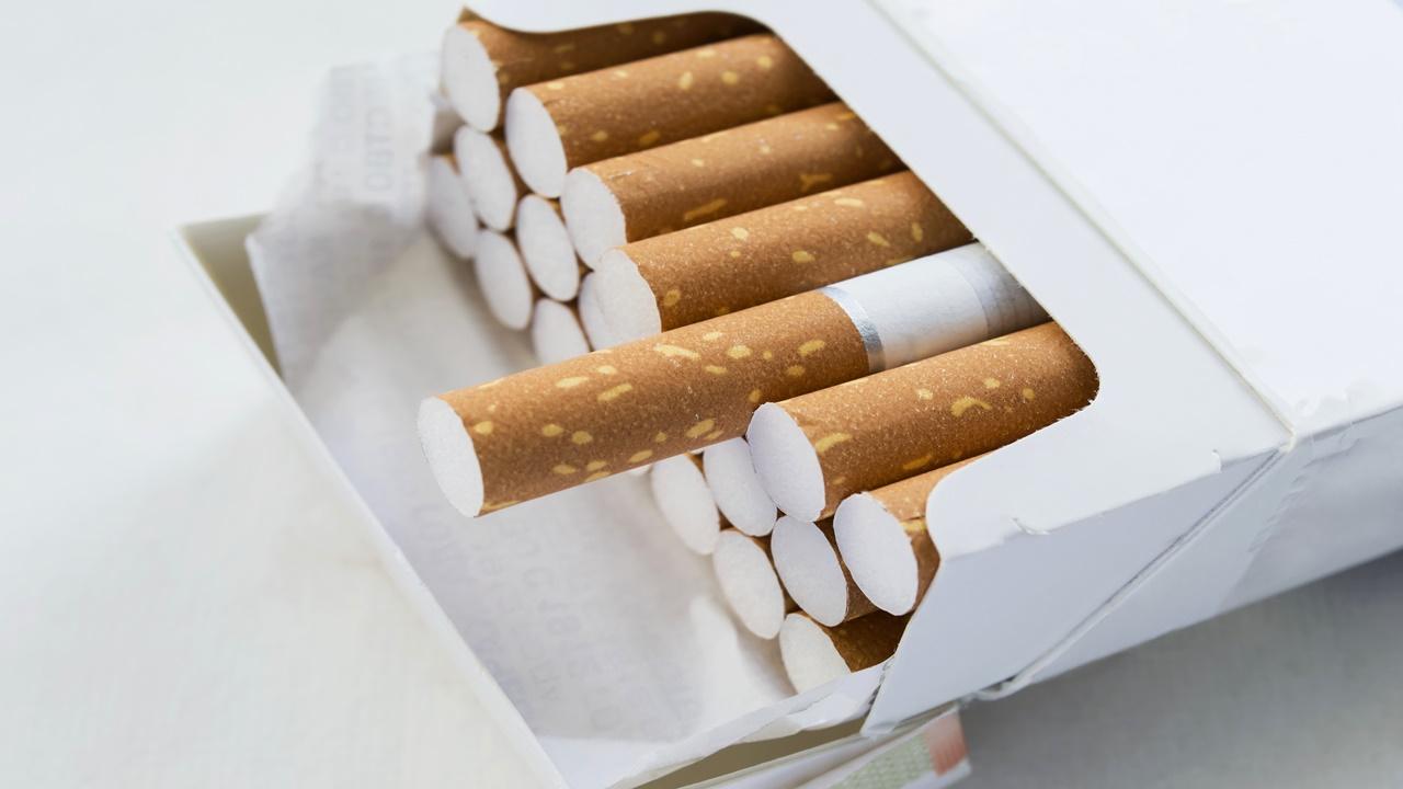 Philip Morris sigara grubu zamlı fiyatlar 2024