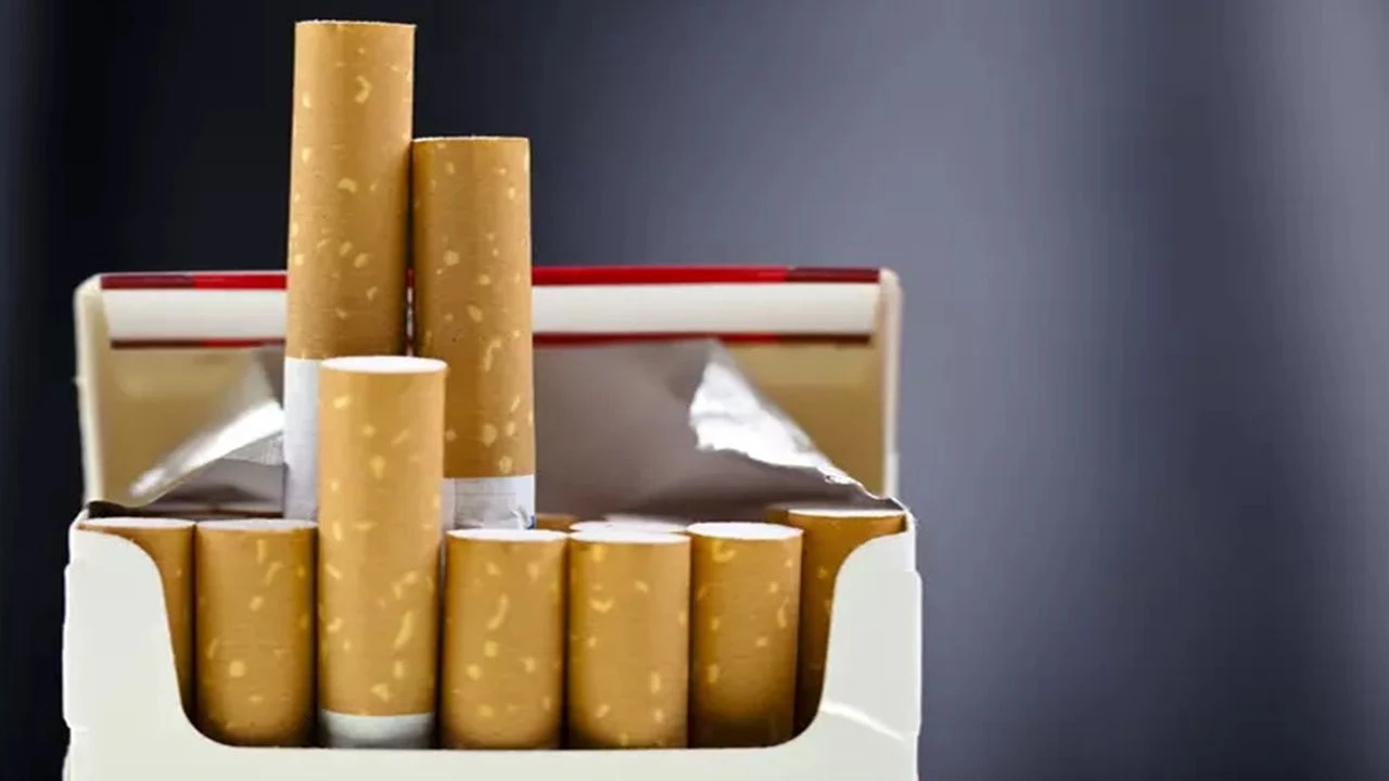 Philip Morris sigara grubu zamlı fiyatlar 2024