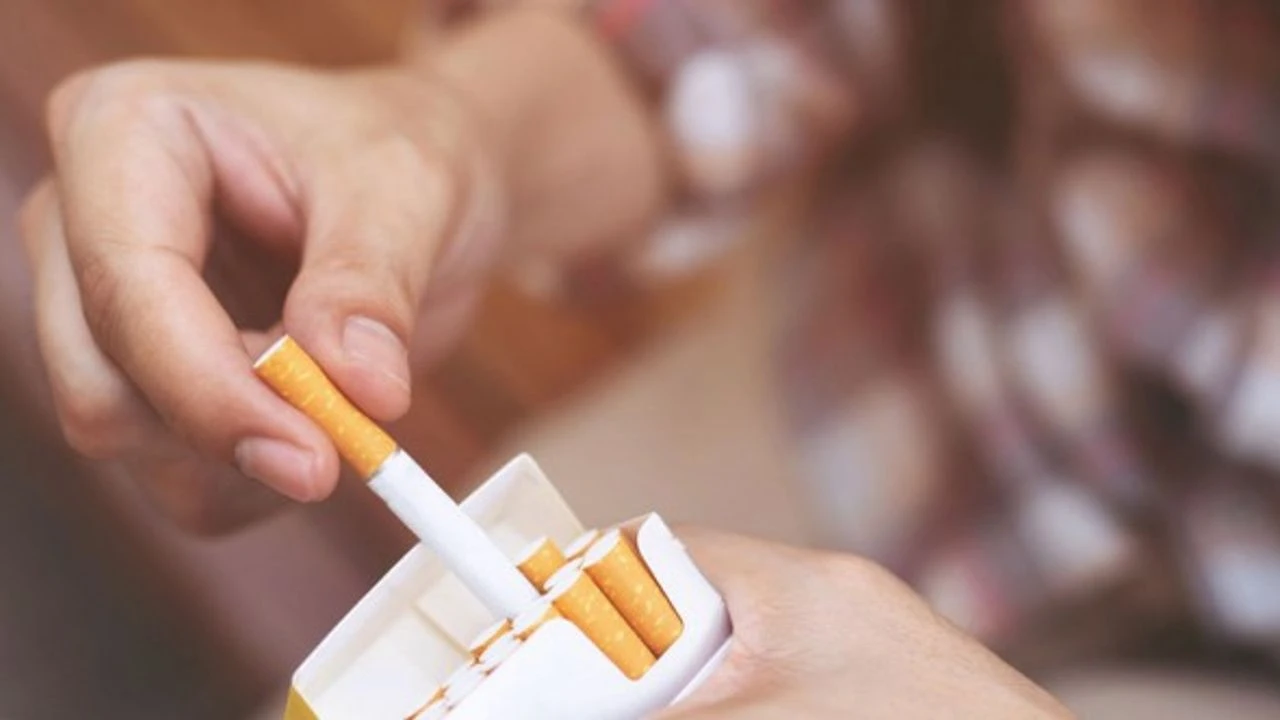 Philip Morris sigara grubu zamlı fiyatlar 2024