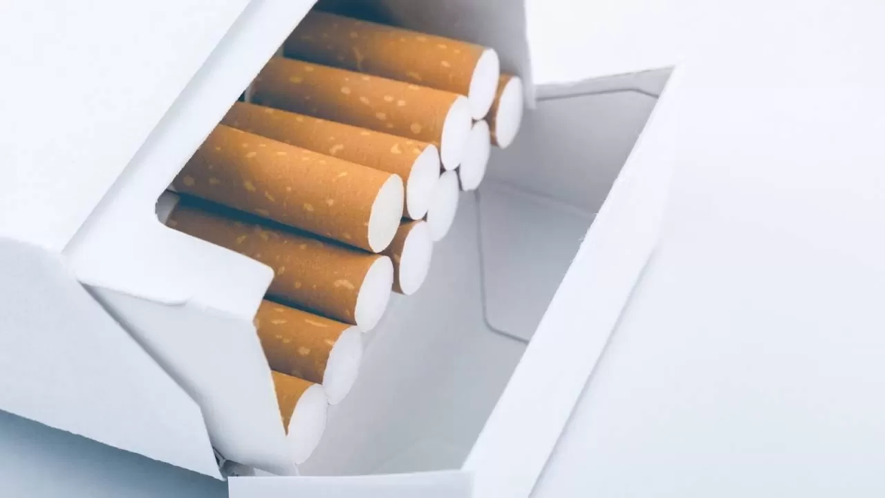 Philip Morris sigara grubu zamlı fiyatlar 2024