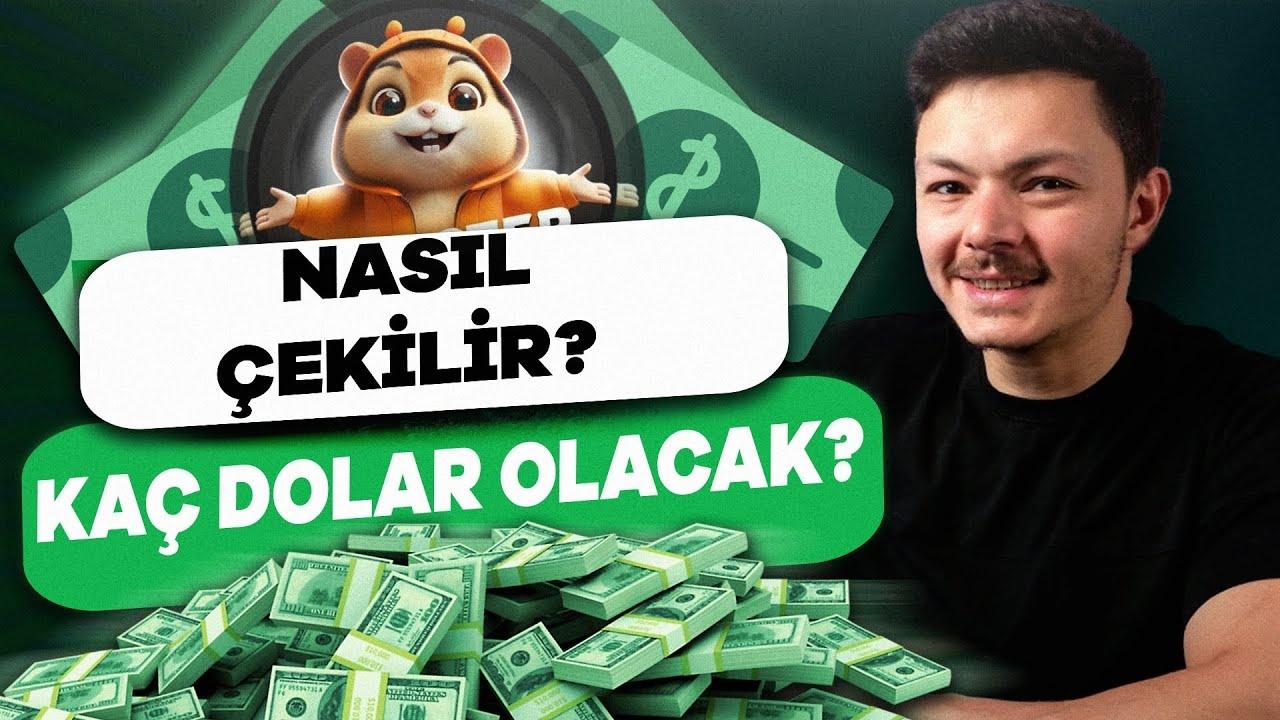 Hamster Kombat (HMSTR) Tokenu Düştü: Yatırımcılar Endişeli