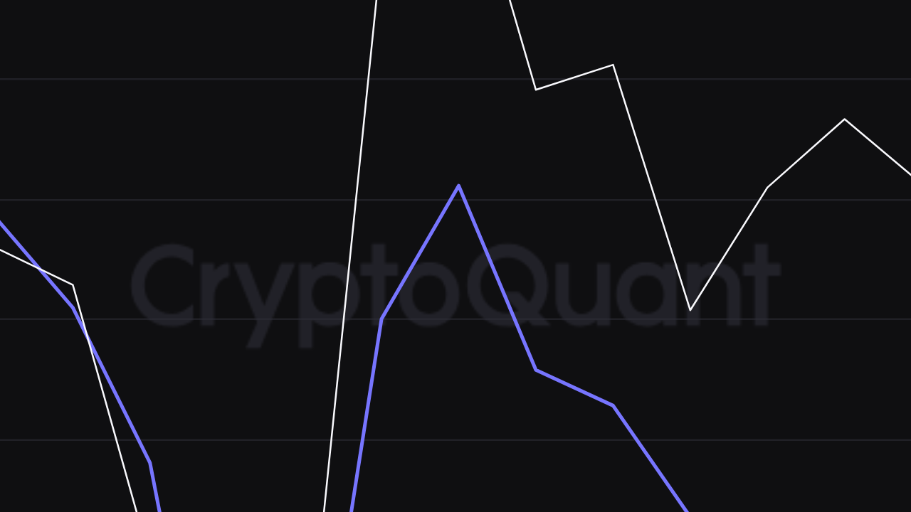 XRP Coin 95 Dolar Olacak mı? Analistten 'Çılgın' Tahmin