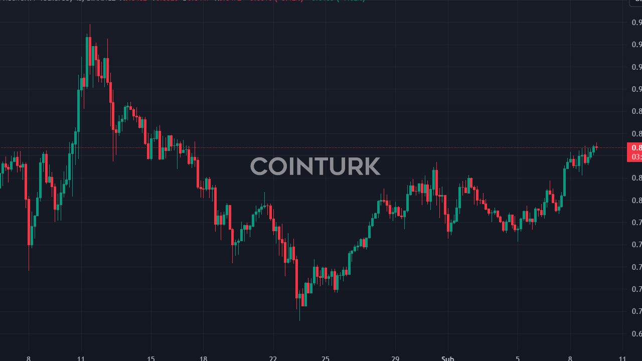 1 Doların Altında 3 Altcoin: Yüksek Potansiyel, Yüksek Risk