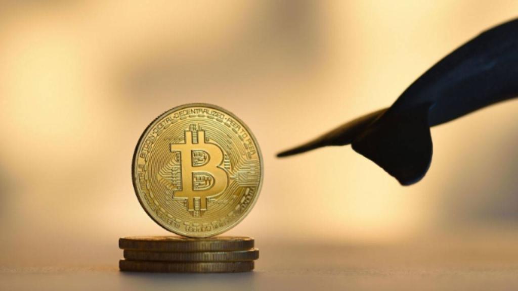 Bitcoin Fiyatında 'luk Artış Bekleniyor: Bluntz, Üçüncü Dalga Yükselişinin Başladığını İddia Ediyor