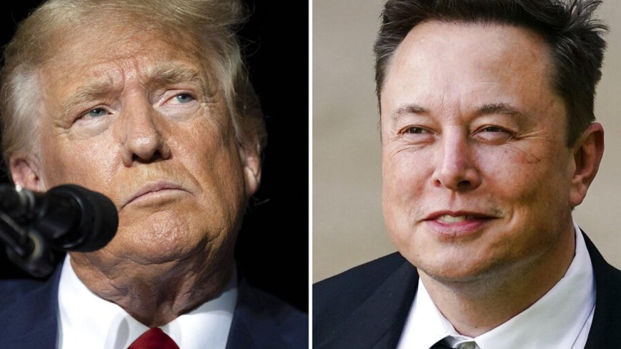 Elon Musk'ın Trump Desteği: Kripto Para Piyasalarında Büyük Kazançlar! 113 Bin Dolarlık Kar