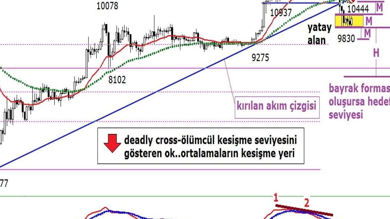 REEF Altcoin'de %1.200'lük Artış Sonrası Düzeltme Tehlikesi: Yatırımcılar Dikkat!