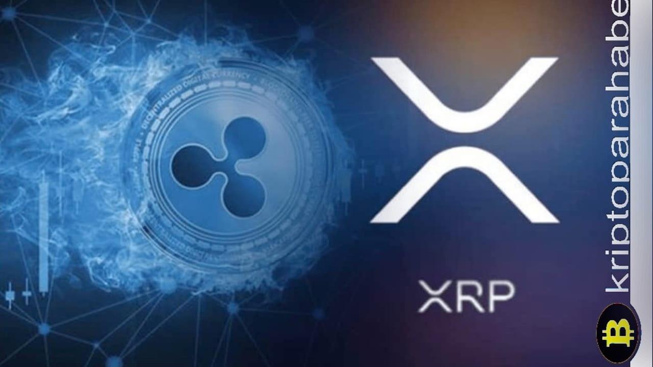 Kripto Piyasasında 7 Günlük Heyecan: Ripple, Binance ve Robinhood'un Etkisi