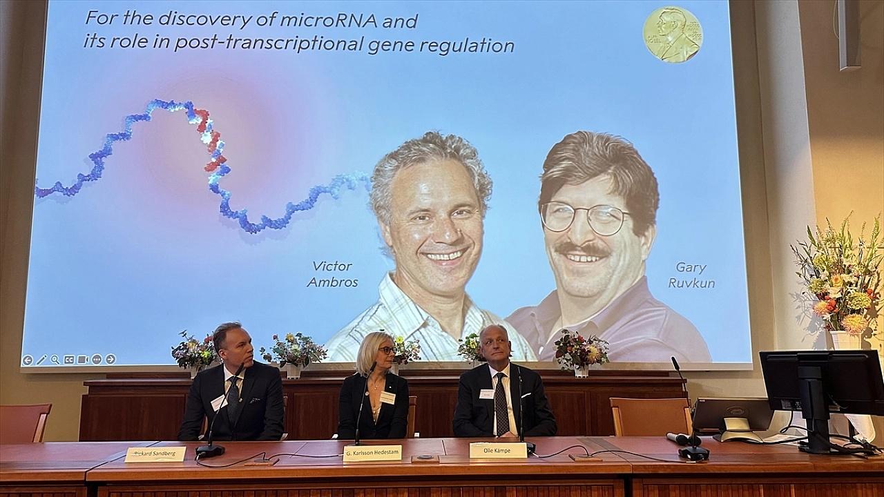 3 Bilim İnsanına 2024 Nobel Kimya Ödülü: Protein Yapı Tahmini ve Tasarımı Devrimi