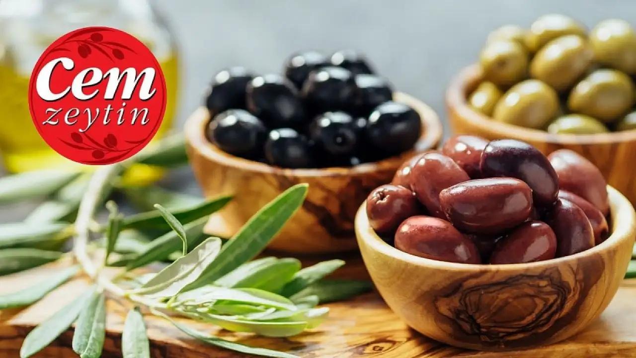 Cem Zeytin'in Karı 2024'ün 3. Çeyreğinde Düşüşle 65.6 Milyon TL