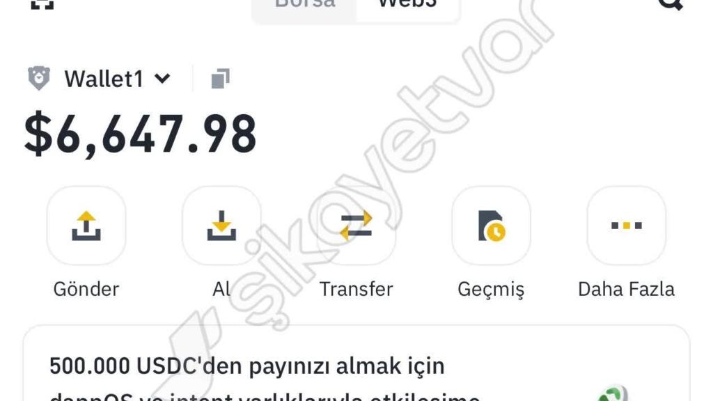 Sahte Curve Finance Uygulaması Apple App Store'da: 100'e Girdi!