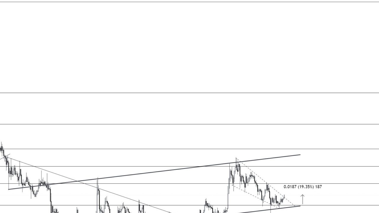 Dogecoin Balinaları Harekete Geçti: DOGE 0,2 Dolara mı Yükselecek?