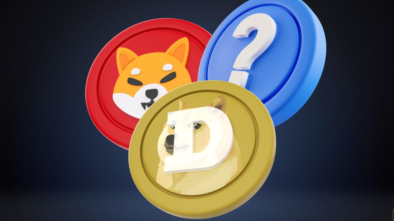 PAJAMAS Coin: YouTube'un İlk Kedi Videosundan Esinlenen Meme Token