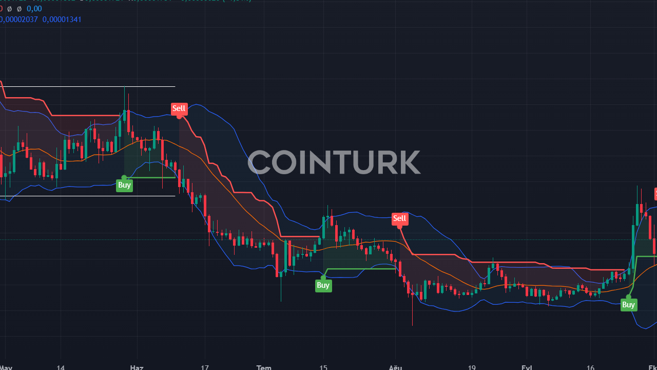 24 Milyon Dolarlık Meme Token: Tek Kişiyle Bağlantısı Ortaya Çıktı!