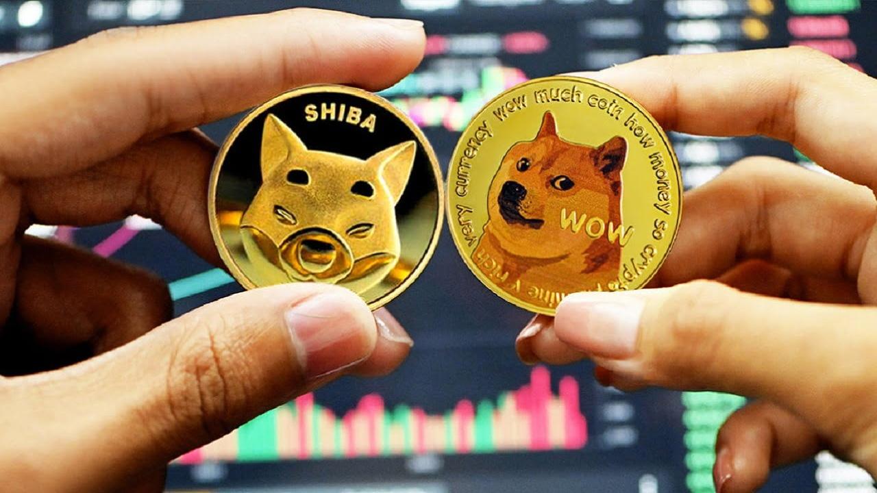 Dogecoin Uzmanı: 4 Popüler Stablecoin'e Yatırım Riskli!