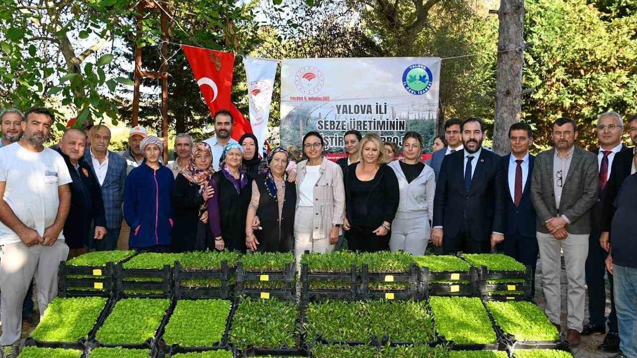 Yalova'da 65 Çiftçiye 500 Bin Fide Dağıtıldı: Marul ve Pazı Üretimi Destekleniyor