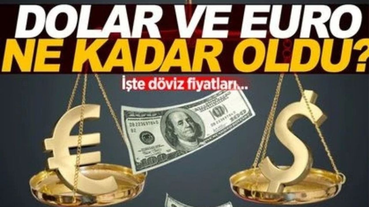 29 Ekim 2024 Dolar ve Euro Kuru: Güncel Değerler