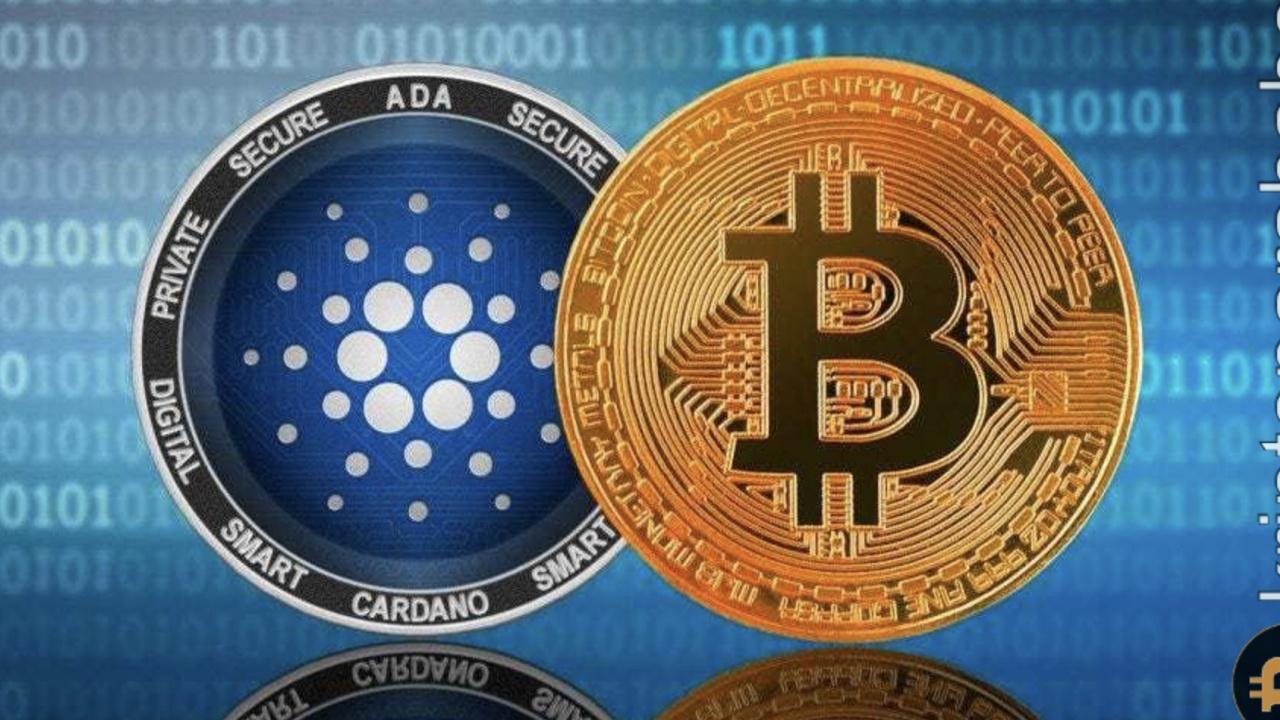 Lunex: Toncoin ve Cardano'yu Geçebilecek Altcoin