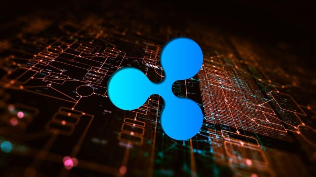 XRP Raporu: Kurumsal İlgi Artarken Fiyat Neden Düşüyor?