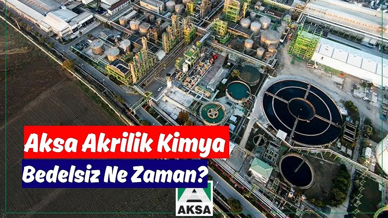 Aksa Akrilik'ten 2024'te Kısmi Bölünme Kararı