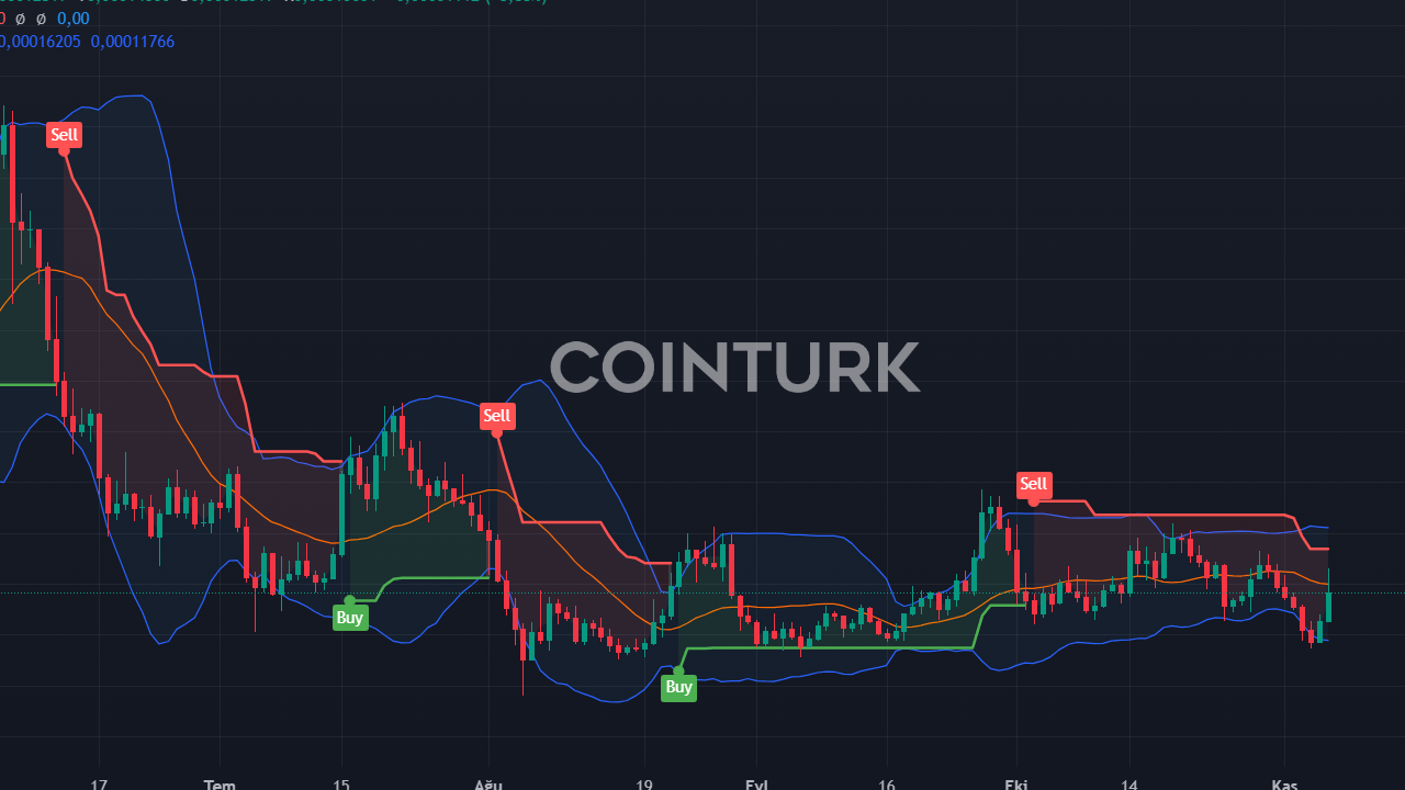 Kripto Piyasalarında Hareketlilik: LUNC, PEPE, Floki ve BONK Coin'in Kaderi Ne Olacak?