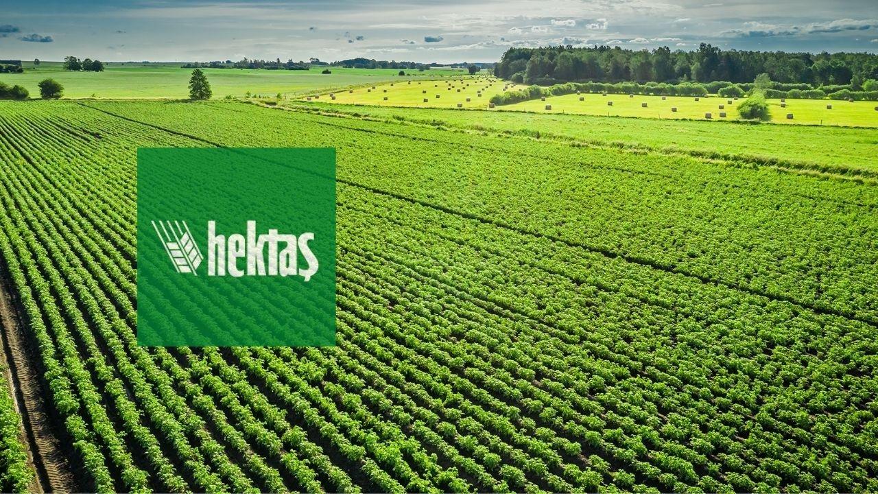 HEKTS Hisse Senedi 3 Artışla 8,43 Milyar TL'ye Ulaştı