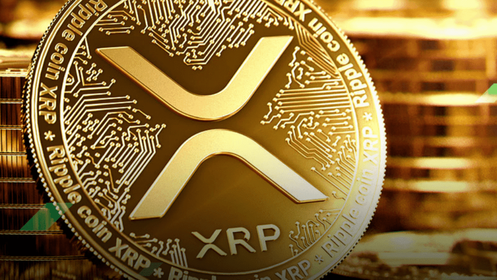 XRP Coin ETF Başvurusu: 21Shares 1 Kasım 2024'te Yeni Bir Başvuru Yaptı