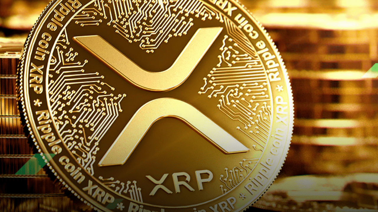 XRP Coin ETF Başvurusu: 21Shares 1 Kasım 2024'te Yeni Bir Başvuru Yaptı