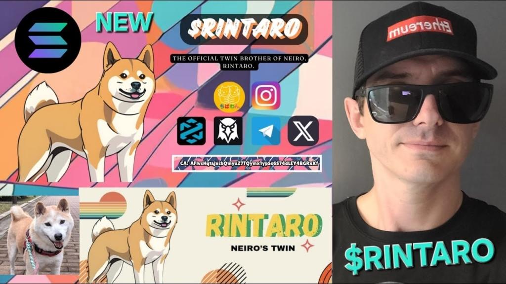 Rintaro Coin Nedir? Meme Token Piyasasına Yeni Bir Üye