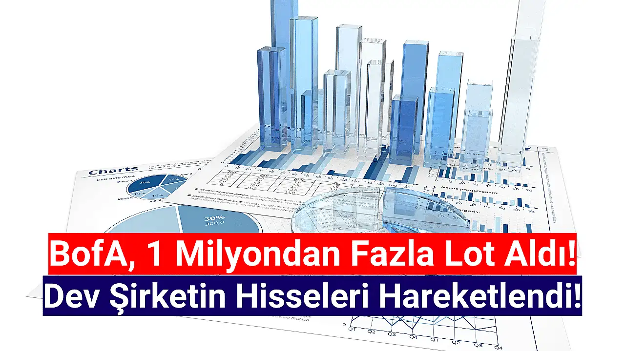 SASA Hisselerine Yoğun İlgi: Bank of America ve Tacirler Yatırım Öne Çıktı