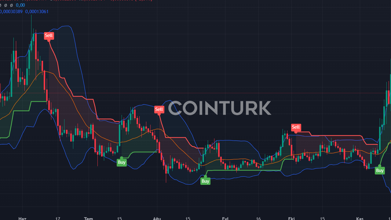 3 Kripto Para Fiyat Tahmini: Floki, Pepe, Dogecoin ve Bitcoin