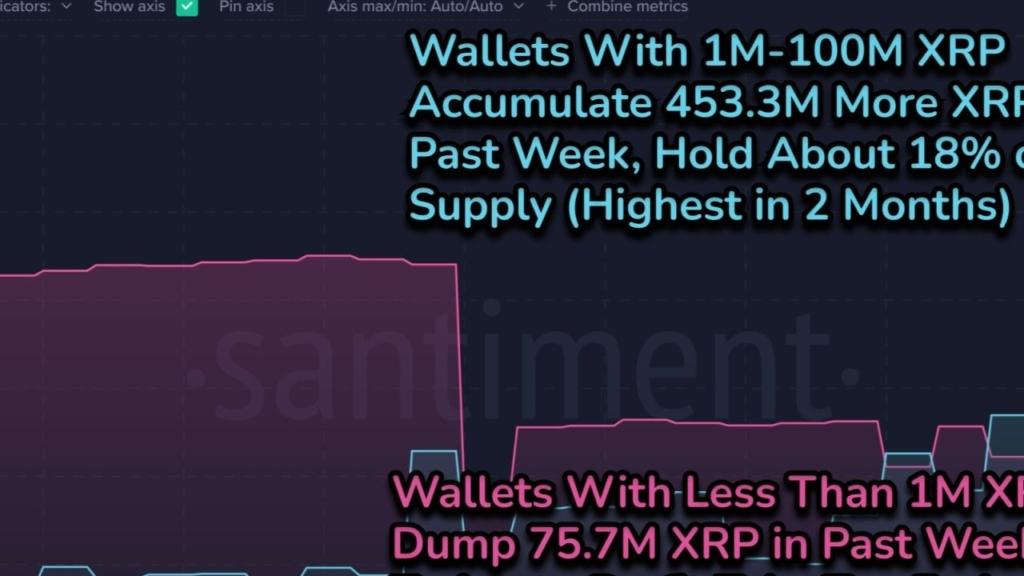 Ripple Balinaları XRP'yi Destekliyor: 250 Milyonluk Alım!