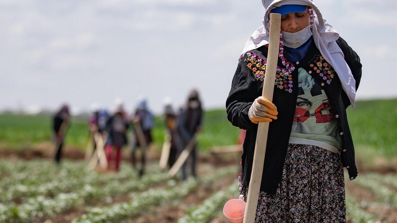 Tarım Sektörünü 7 Zorluk Bekliyor: Maliyetler Artıyor