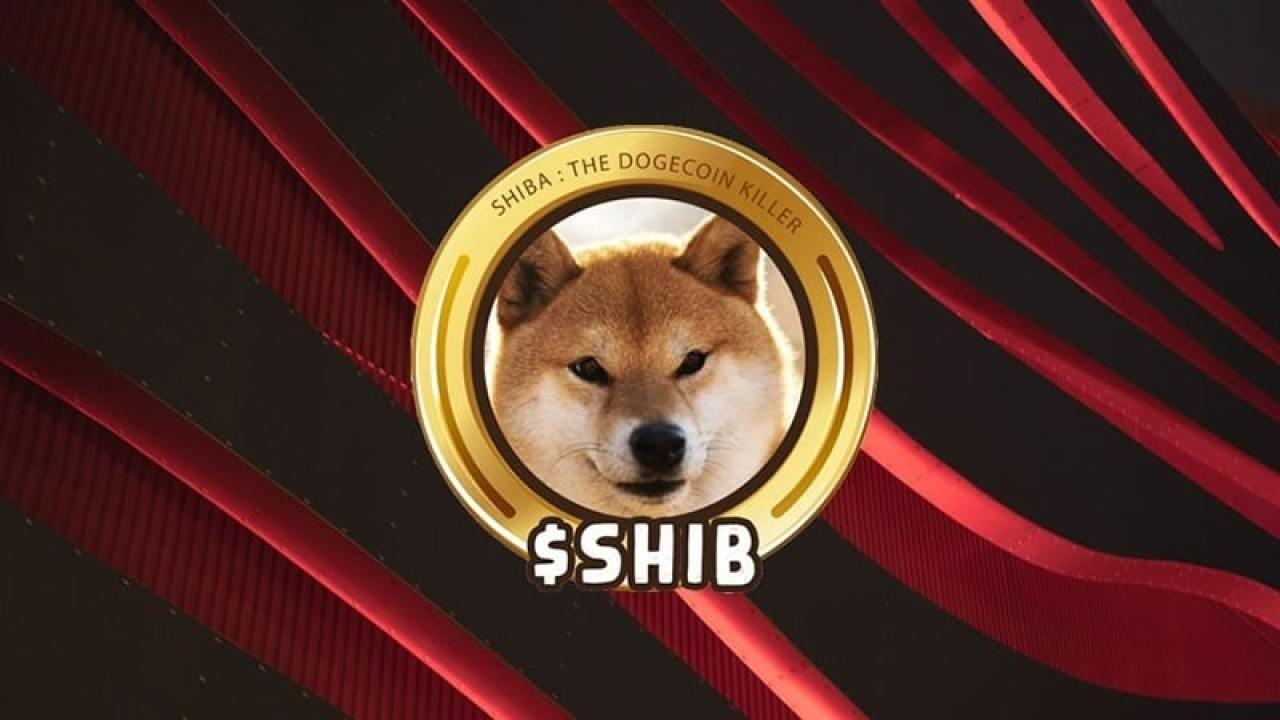 Shiba Inu Fiyatında %6'lık Artış: 0.00005685 Dolar Hedefiyle Yeni Patlama Bekleniyor