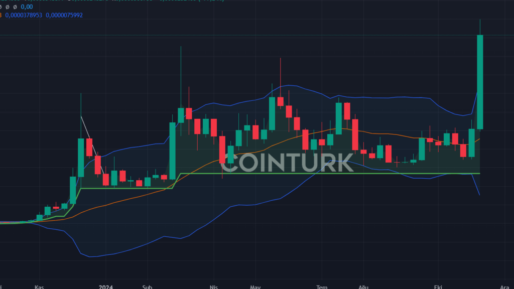 BONK, XRP ve MINA Coin Kasım Sonu Fiyat Tahminleri 2023