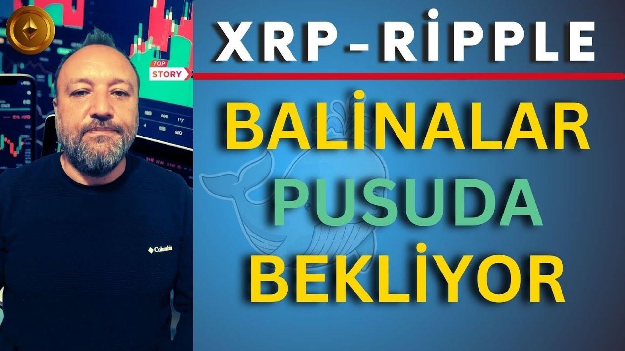 BONK, XRP ve MINA Coin Kasım Sonu Fiyat Tahminleri 2023