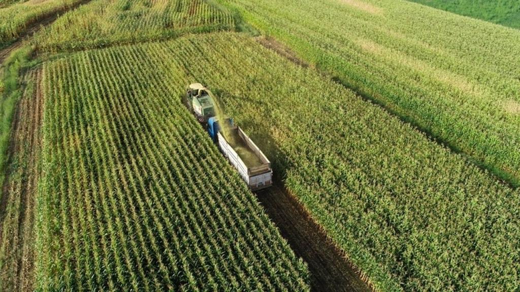 OECD: Tarım Sektörü 2024'te Zorlu Bir Yıl Geçiriyor