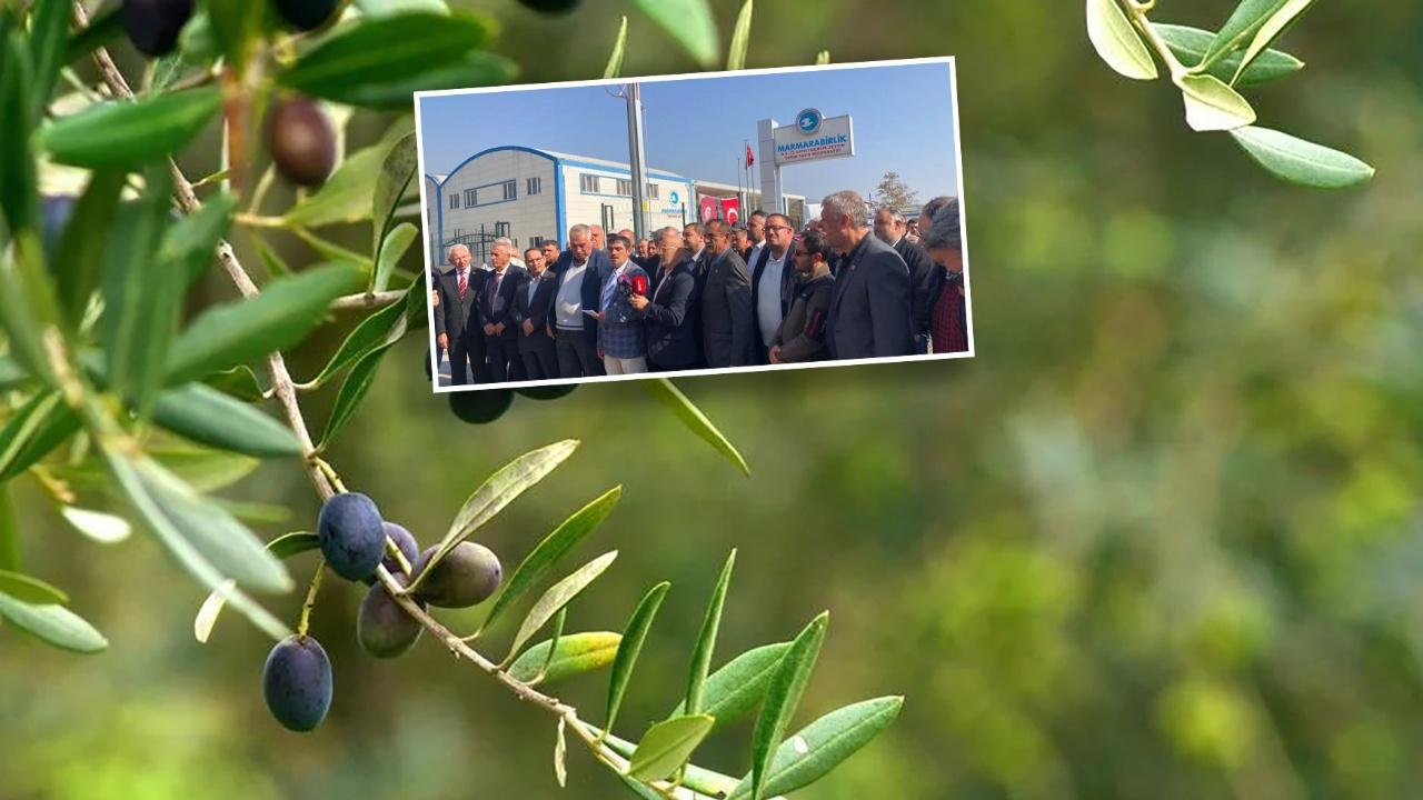 Zeytin Üreticileri 2023'te 0'lük Enflasyona Rağmen Fiyat Artışı İstiyor