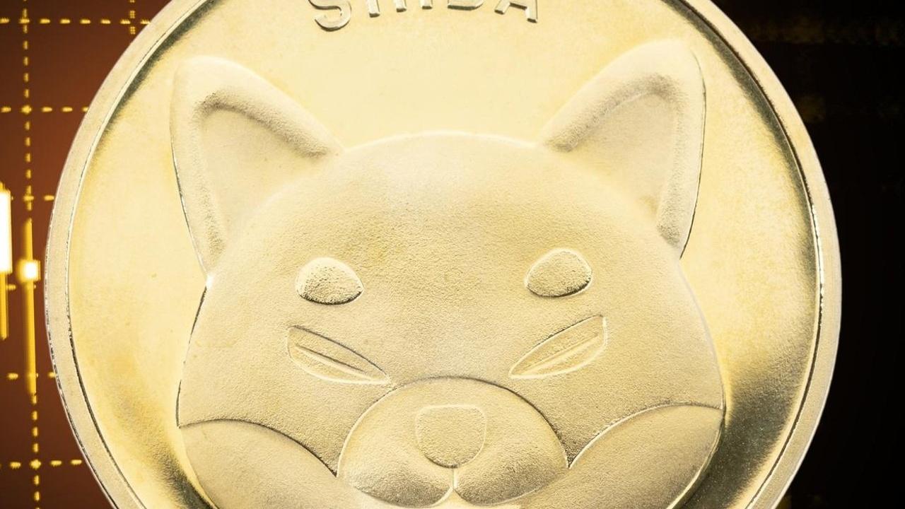 Shiba Inu'nun 1 Dolar Hedefi: Gerçekçi mi?