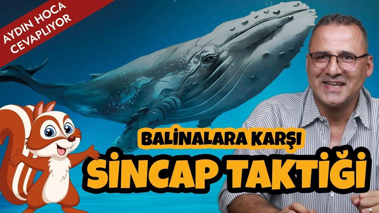 Shiba Inu Fiyatı 0 Fırlayabilir: Balina Hareketliliği Artıyor!