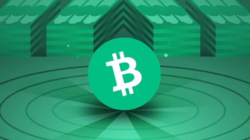 Bitcoin Cash (BCH) Nedir, Ne Zaman Çıktı? İlk Çıkış Fiyatı, Geleceği, Yorum