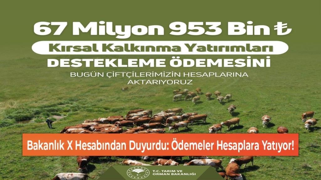 Çiftçilere 213 Milyon TL Destek Ödemesi