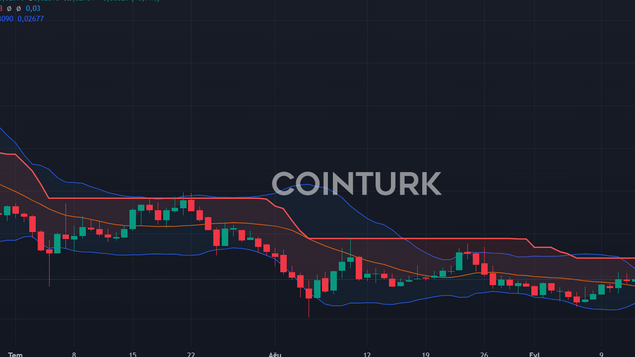 4 Altcoin İçin Kasım Ayı Fiyat Tahminleri