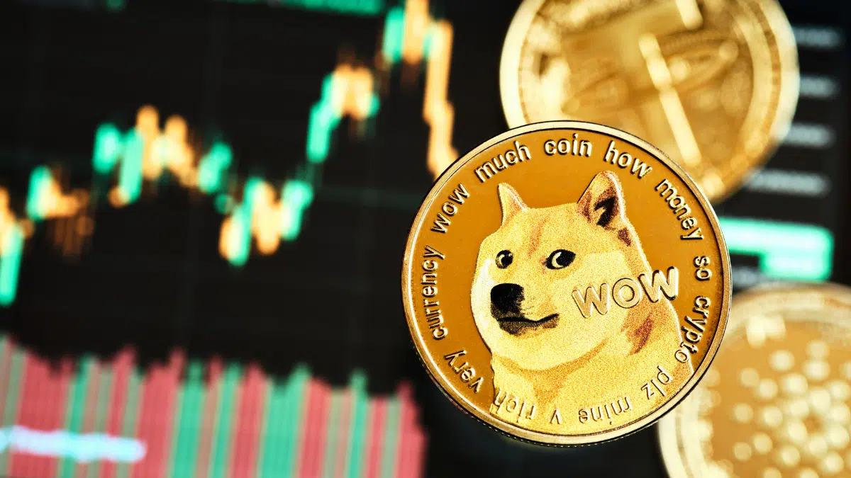 Dogecoin Nasıl Alınır