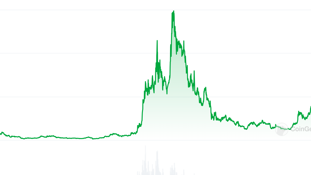 PEPE, XRP, ADA Coin 2024 Hedef Fiyatları: Büyük Kazançlar Kapıda mı?