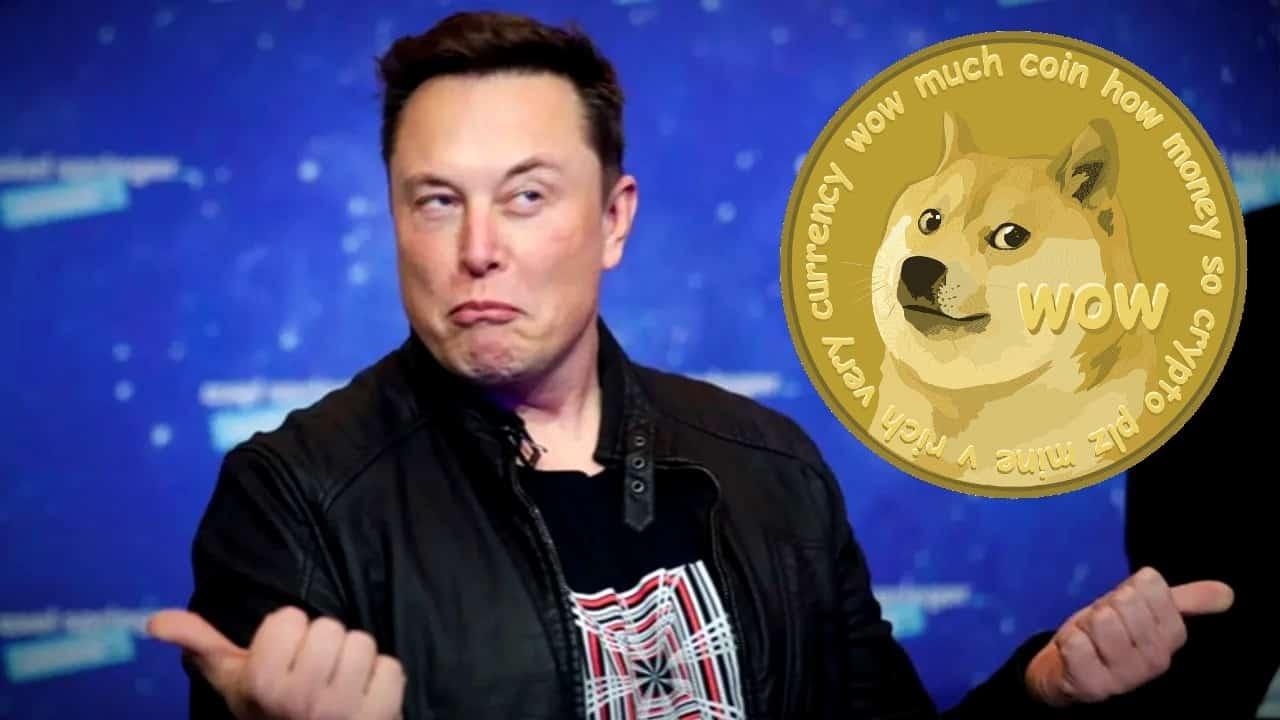 Elon Musk Etkisiyle Pnut Coin Değer Kazandı!